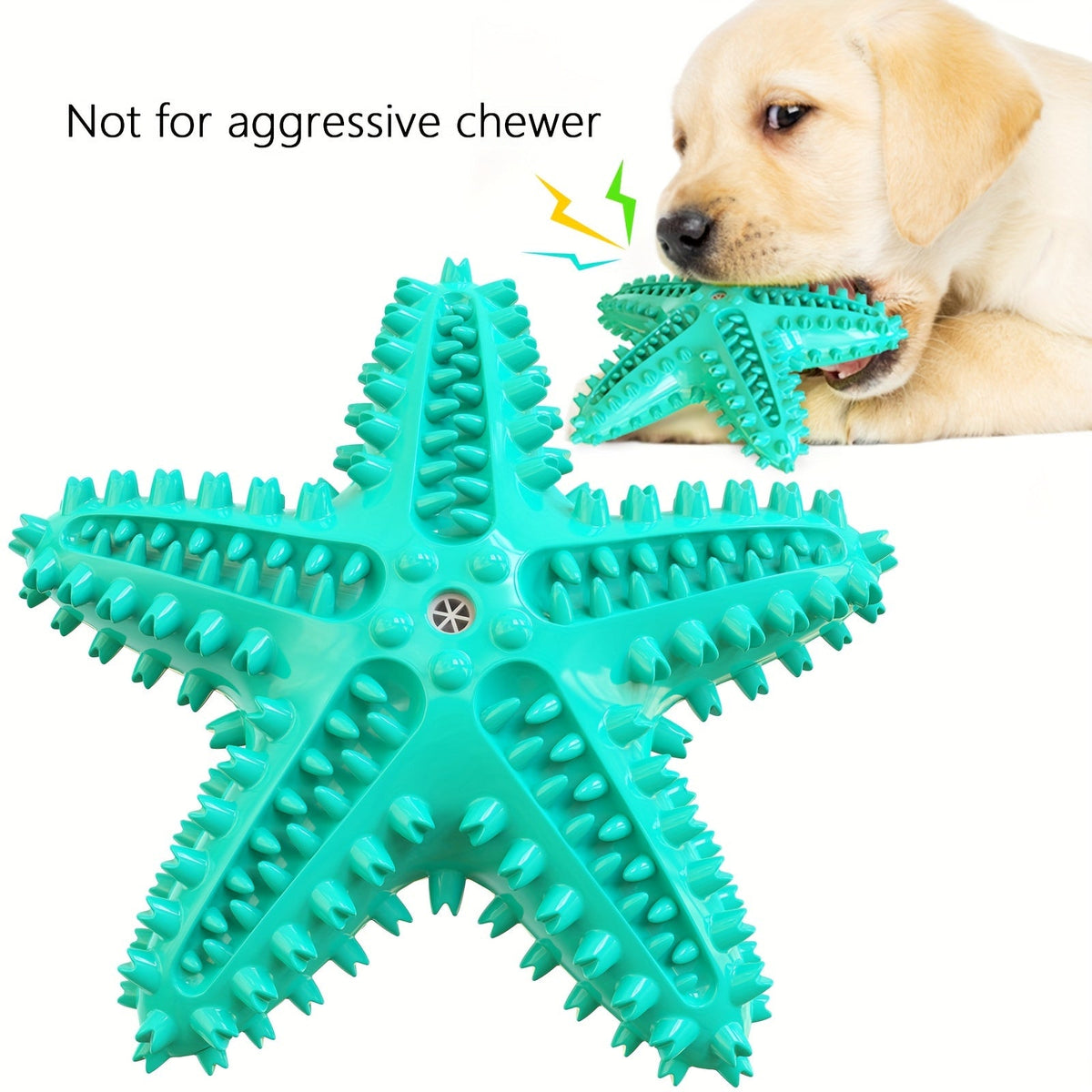 Étoile de mer sonore pour chien – Jouet à mâcher – photo produit 10