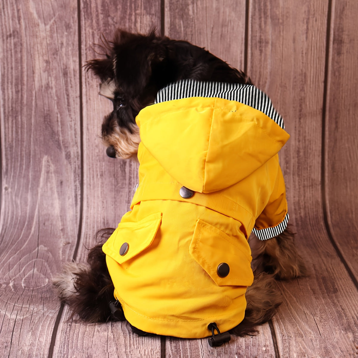 Veste imperméable rayée – Petit chien – photo produit 6
