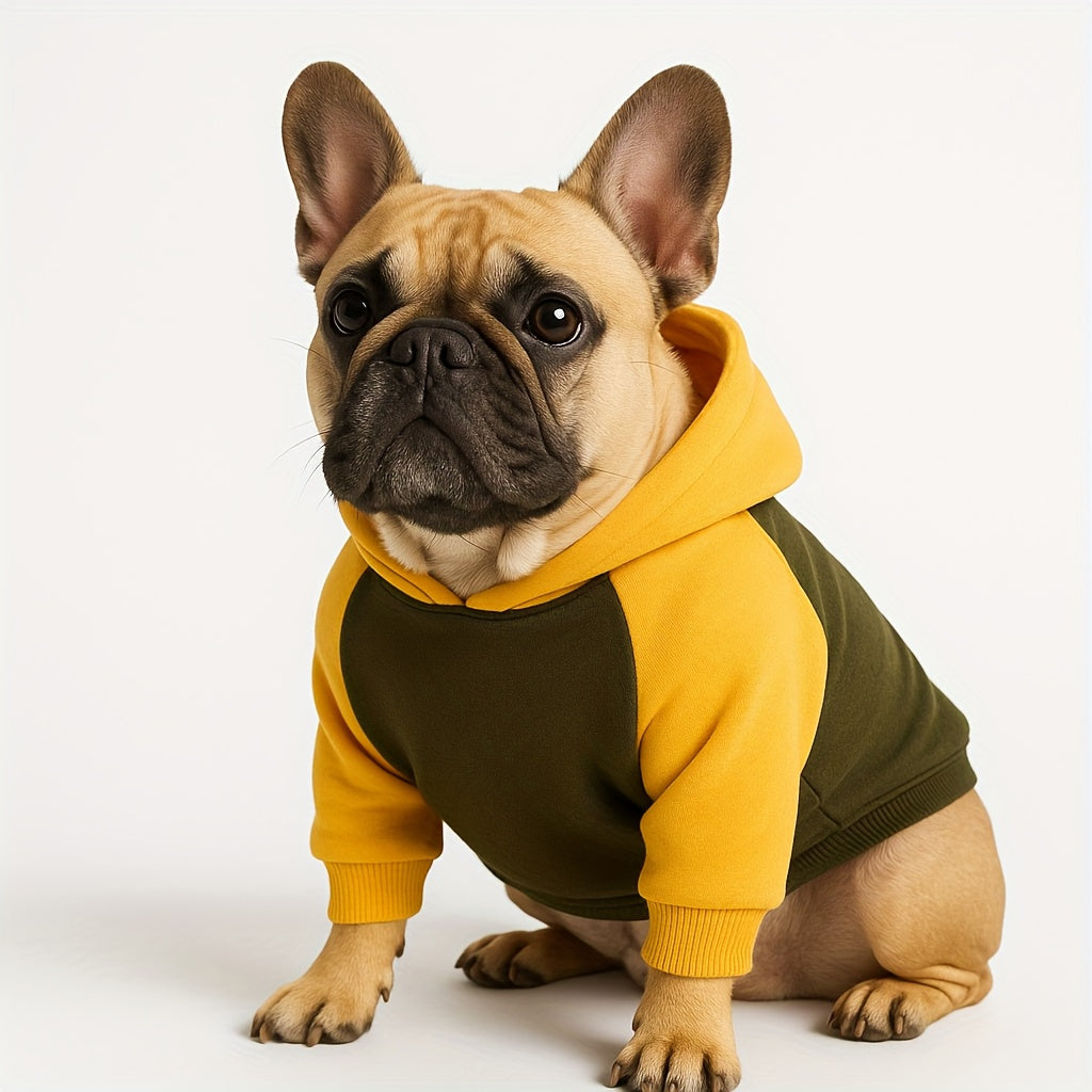 Sweat classique à capuche & poches – Chien – photo produit 4