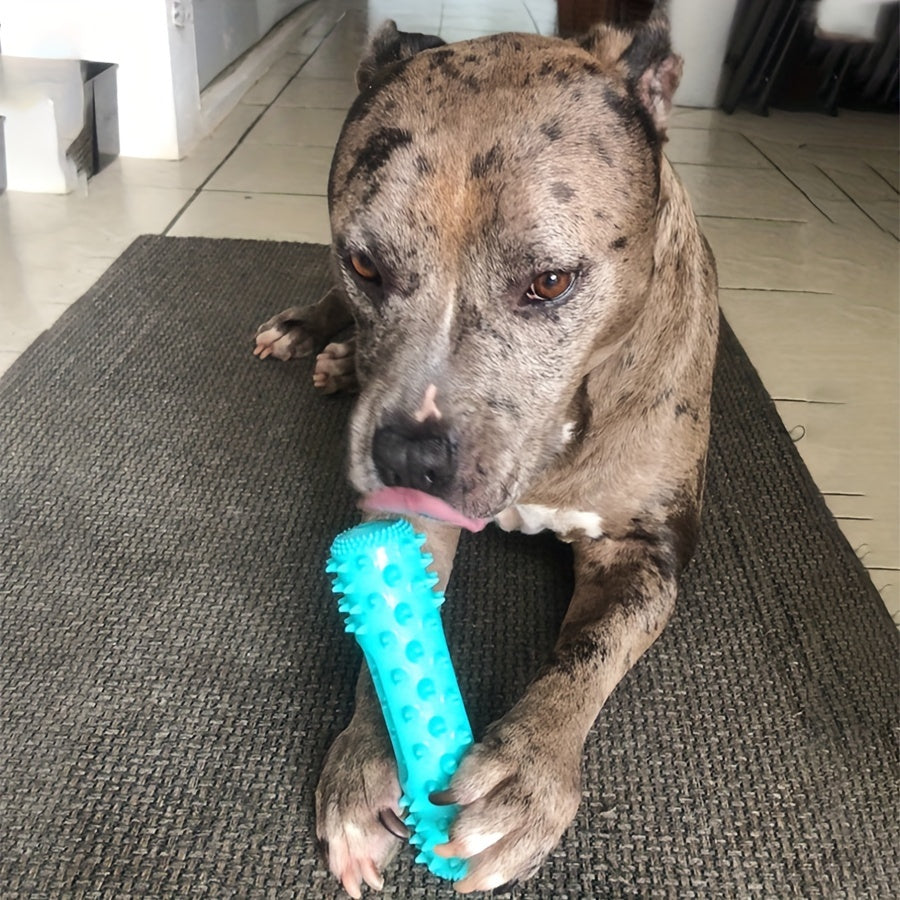 Bâton à mâcher pour chien – Nettoyage des dents – photo produit 7