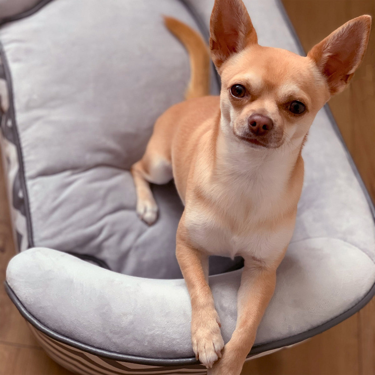 Canapé rembourré gris & blanc – Chien & chat – photo produit 9
