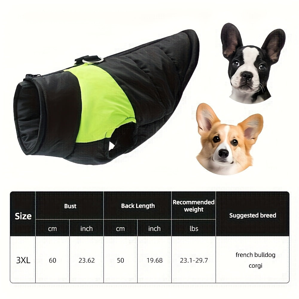 Veste imperméable d'hiver pour chien avec fermeture éclair et boucle pour laisse - Manteau chaud et coupe-vent pour animaux de compagnie de petite à grande taille - Idéal pour les activités de plein air par temps froid