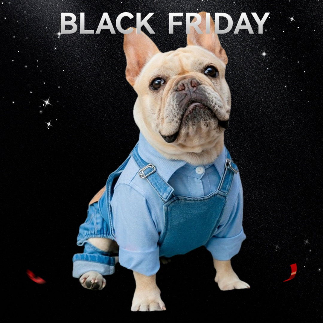 Combinaison simili-denim – Bouledogue français – vue principale