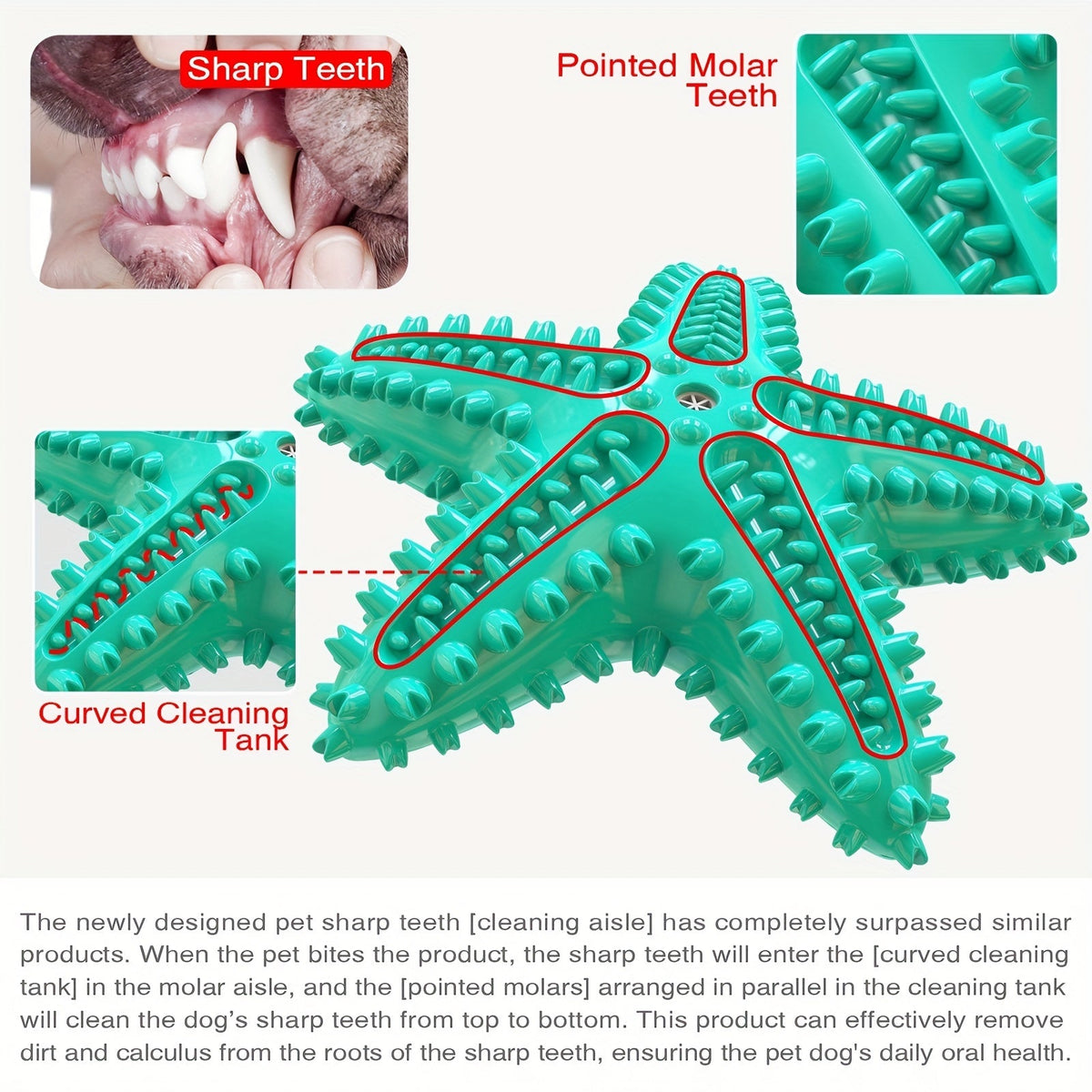 Étoile de mer sonore pour chien – Jouet à mâcher – photo produit 7