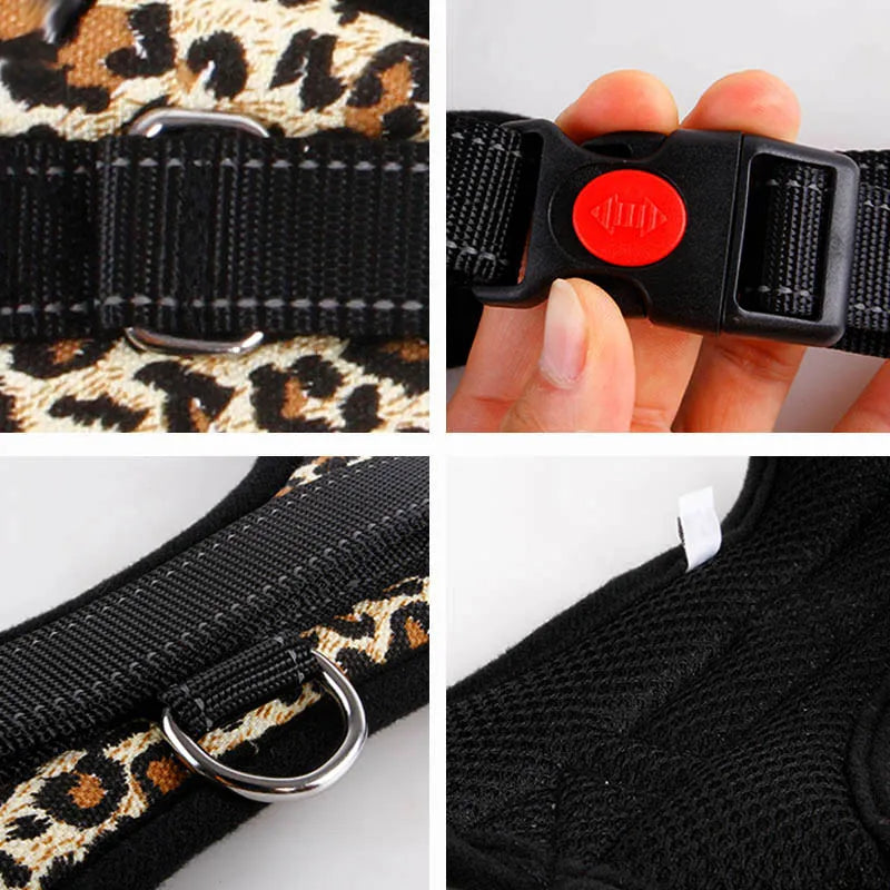 Harnais + laisse en nylon – Tailles S à XL – photo produit 6
