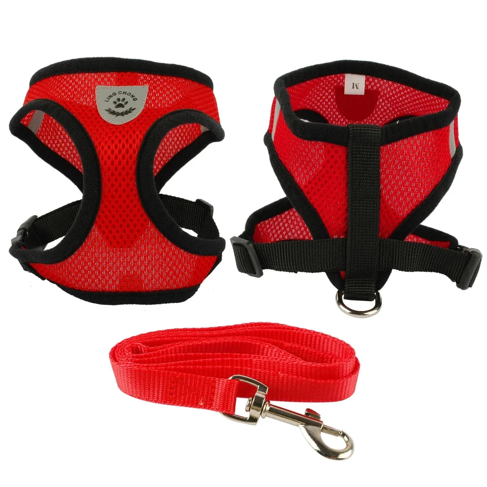 Harnais + laisse en maille respirante – Petit & moyen chien – photo produit 10