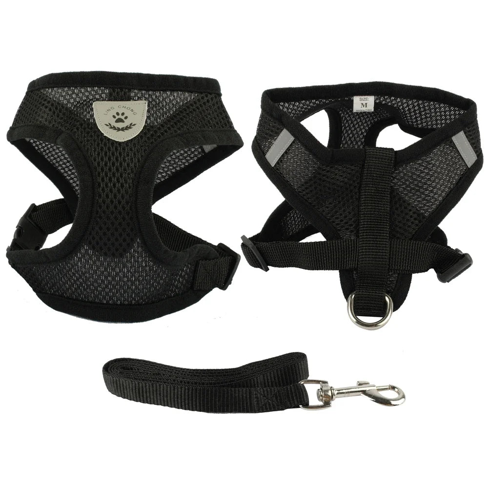 Harnais + laisse en maille respirante – Petit & moyen chien – photo produit 7