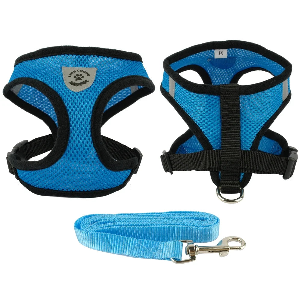 Harnais + laisse en maille respirante – Petit & moyen chien – photo produit 8