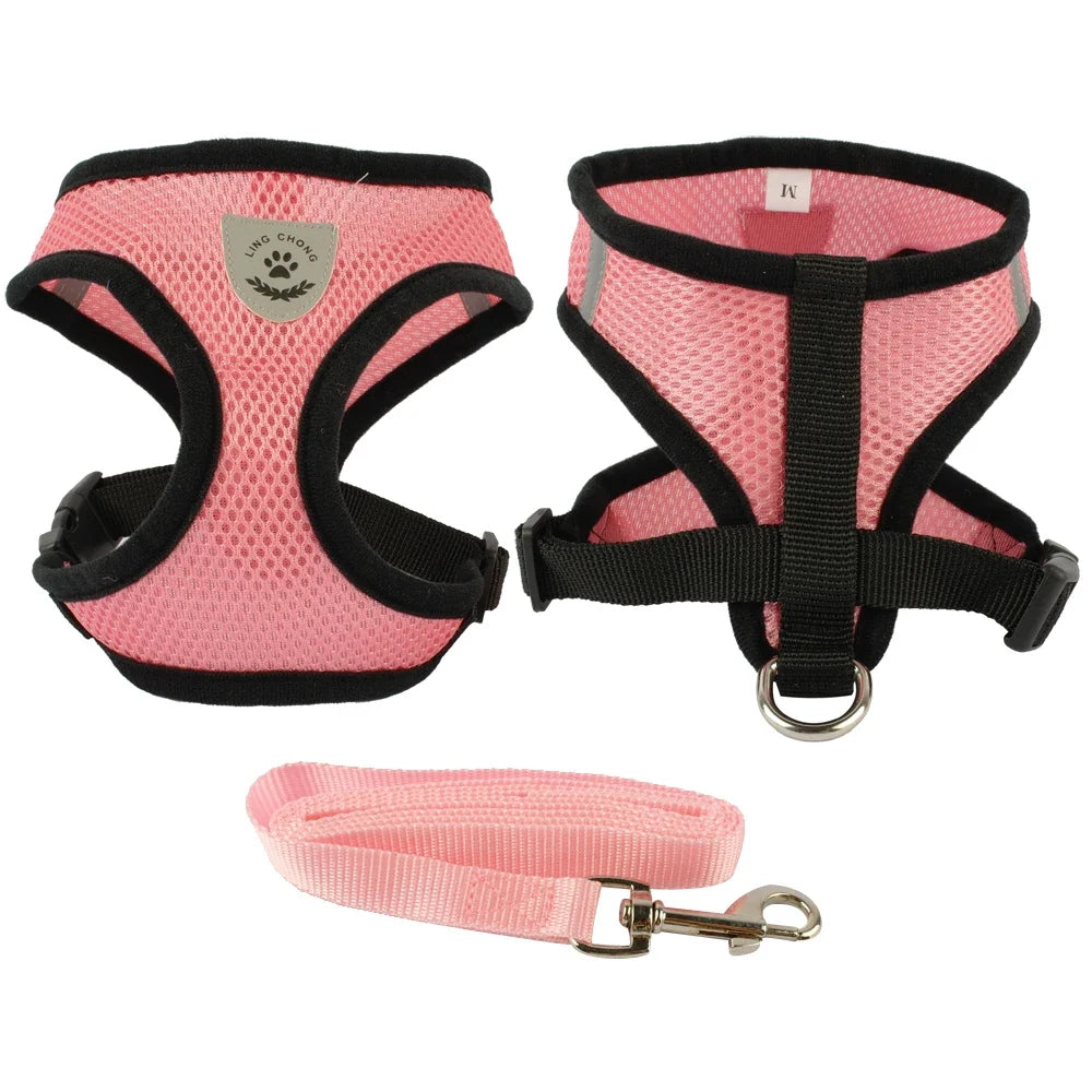 Harnais + laisse en maille respirante – Petit & moyen chien – photo produit 9