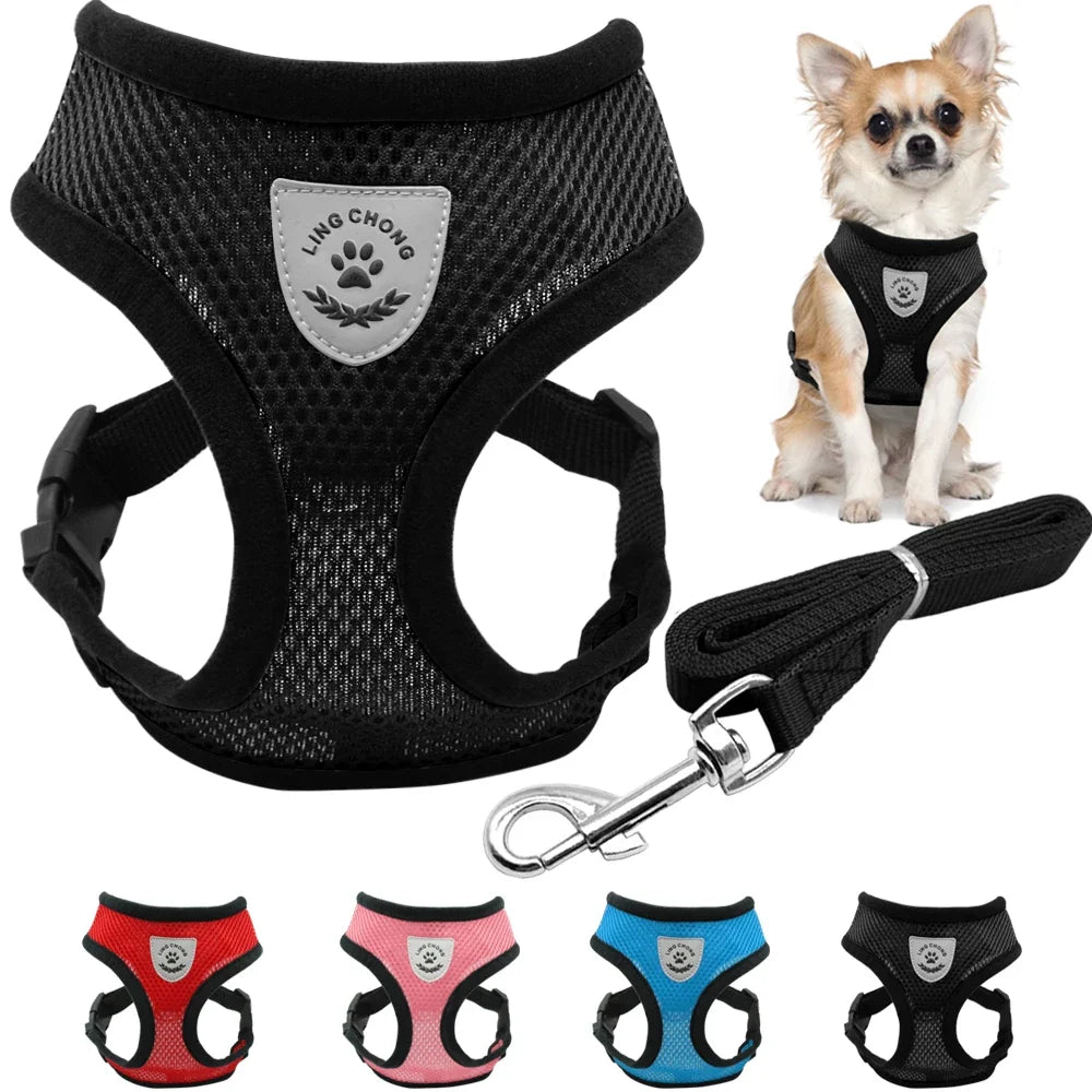 Harnais + laisse en maille respirante – Petit & moyen chien – vue principale