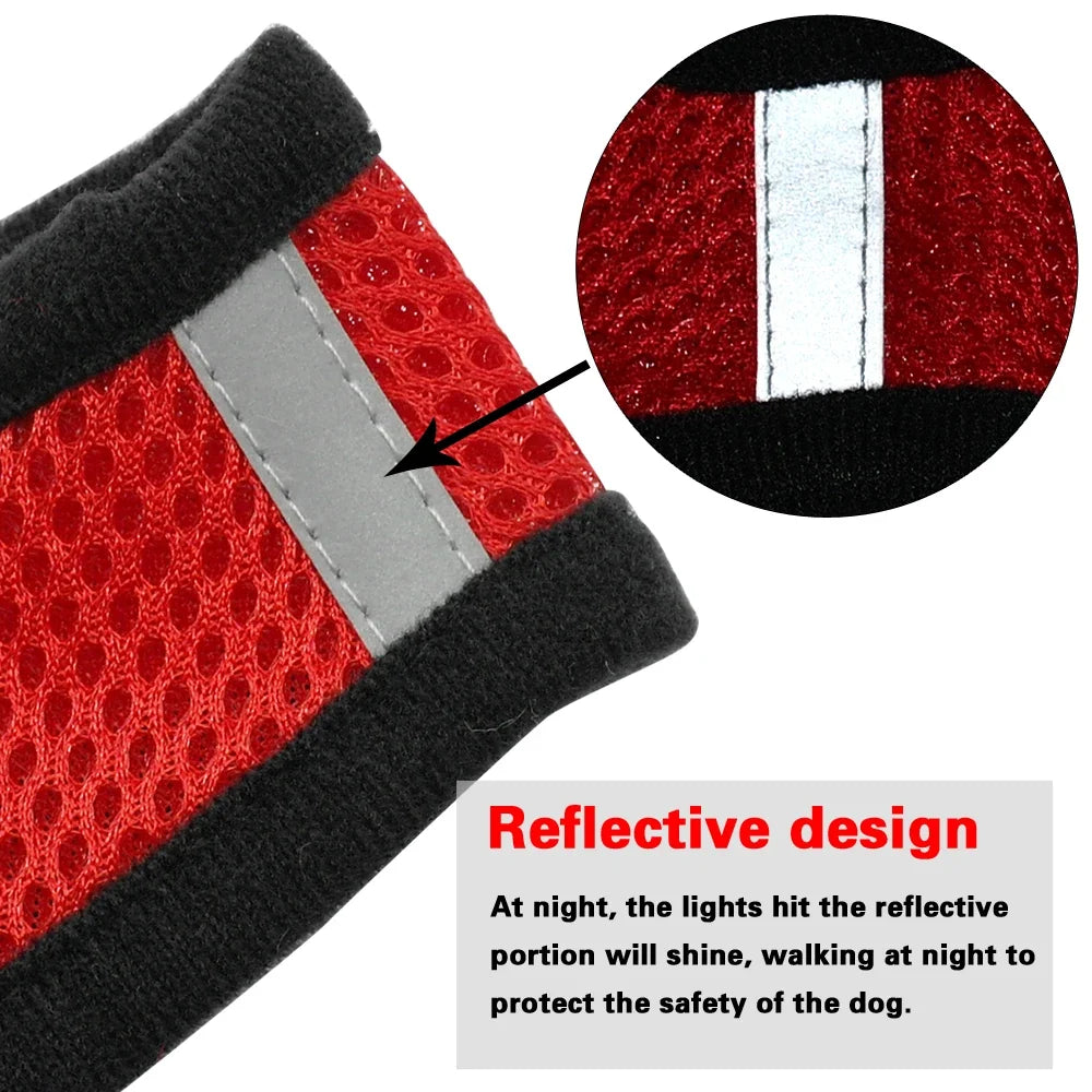Harnais + laisse en maille respirante – Petit & moyen chien – photo produit 4