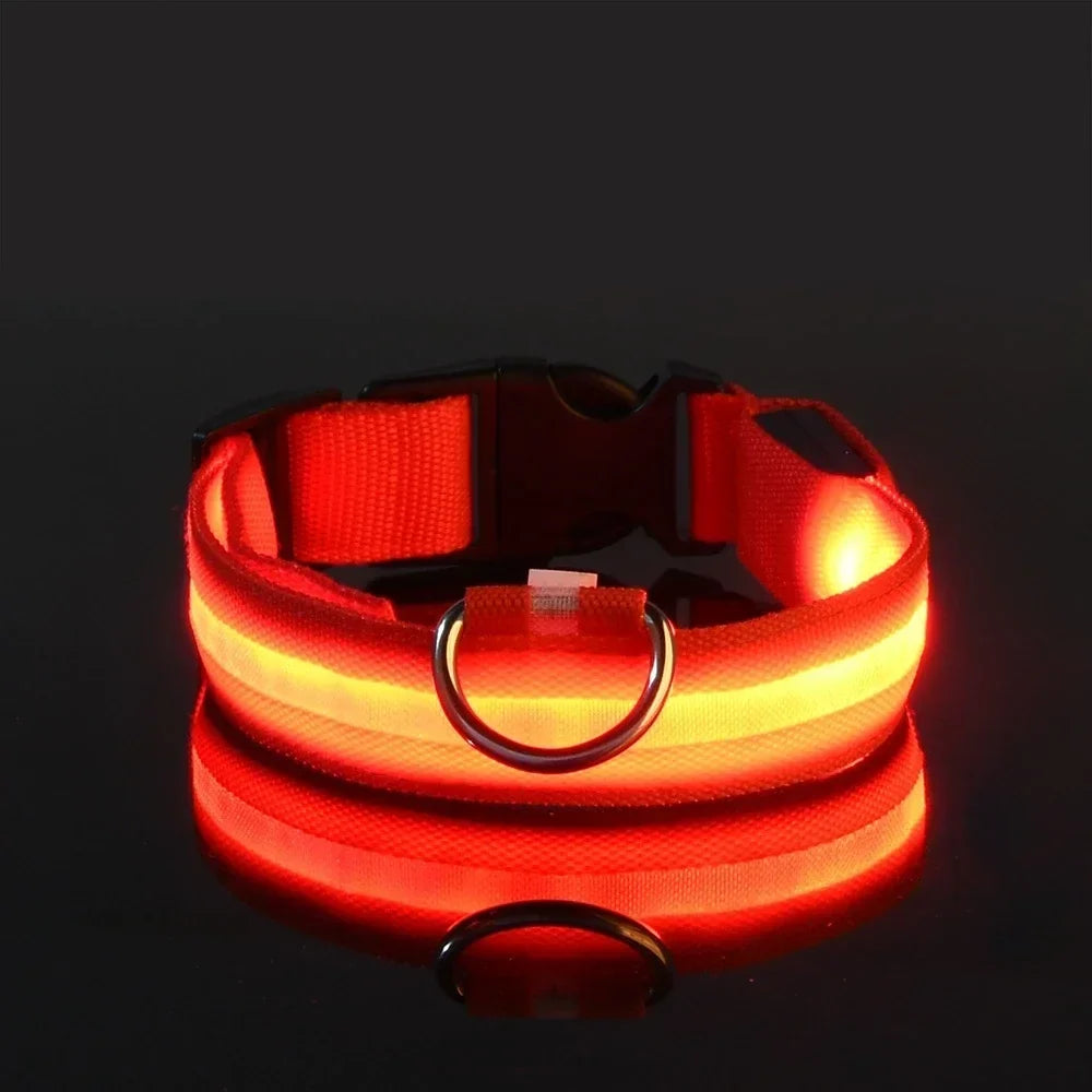 Collier LED clignotant – Sécurité nocturne – photo produit 7