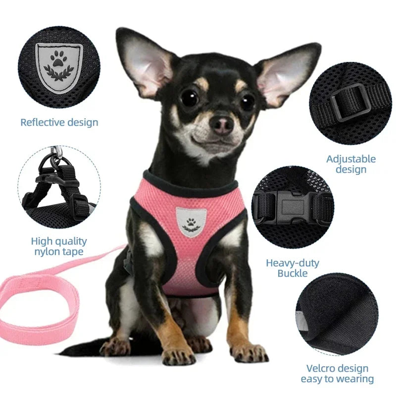 Harnais + laisse en maille respirante – Petit chien & chat – photo produit 3