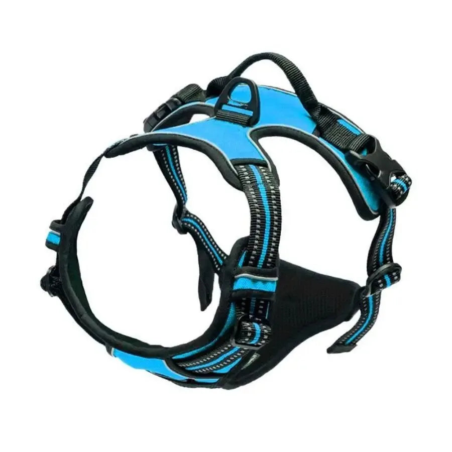 Harnais réglable pour chien – Tailles S à XL – photo produit 12