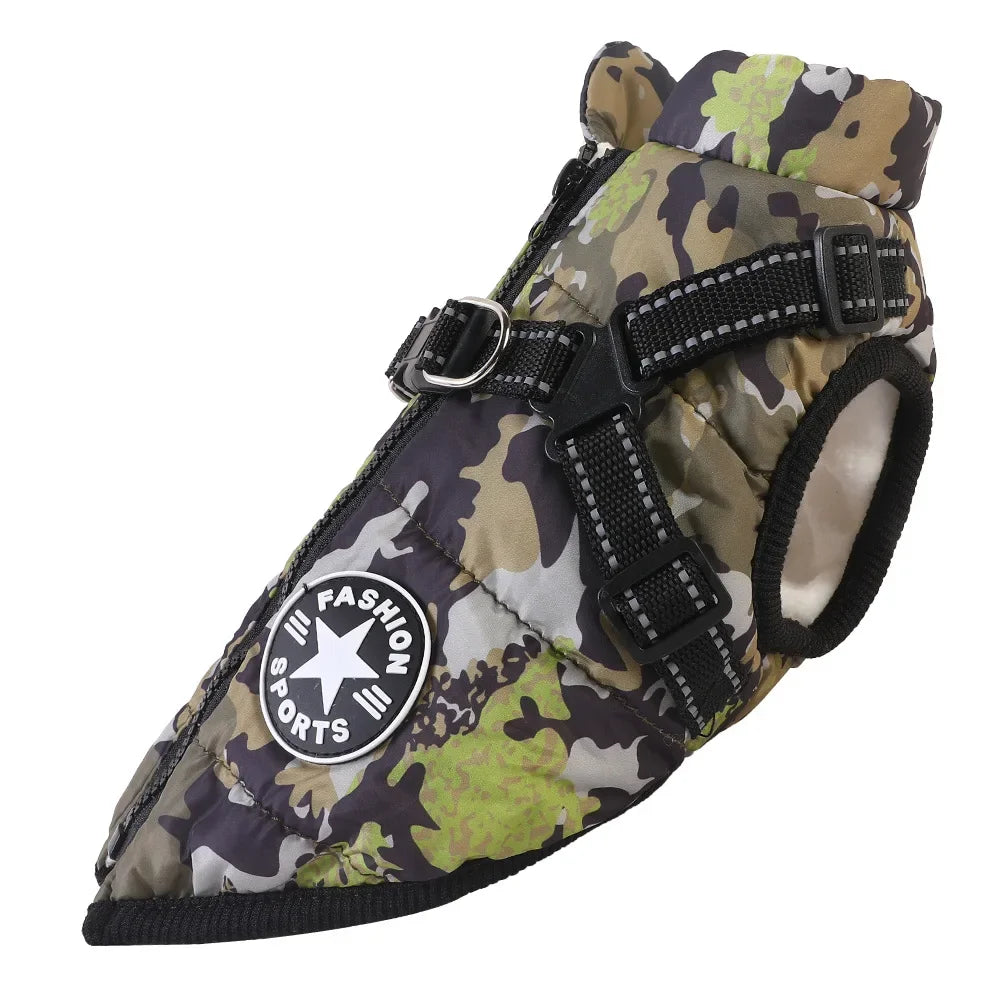 Manteau pour chiens chauds et imperméable. Design "Fashion sport"