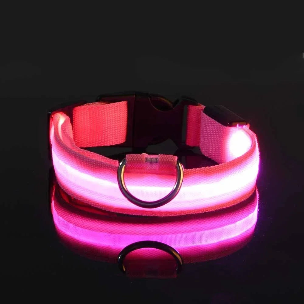 Collier LED clignotant – Sécurité nocturne – photo produit 5