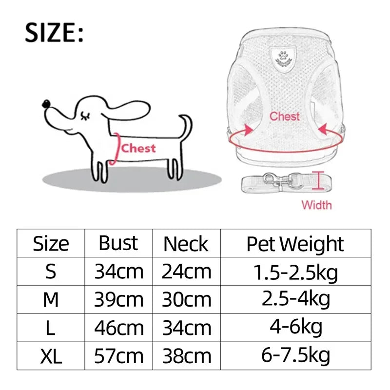 Harnais + laisse en maille respirante – Petit chien & chat – photo produit 6