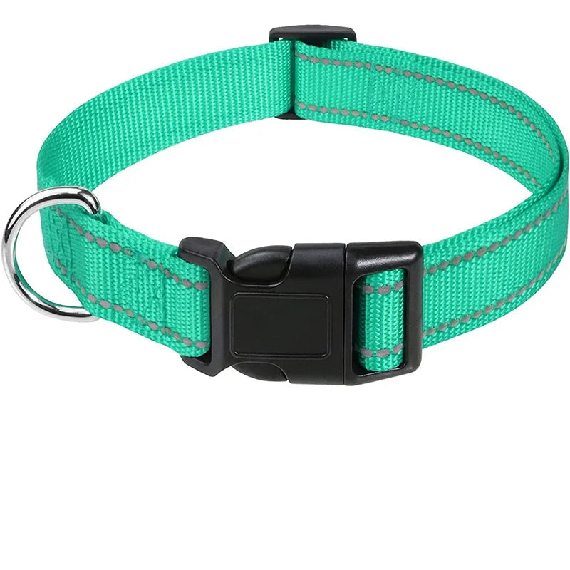 Collier nylon robuste – Petit chien & chiot – photo produit 10