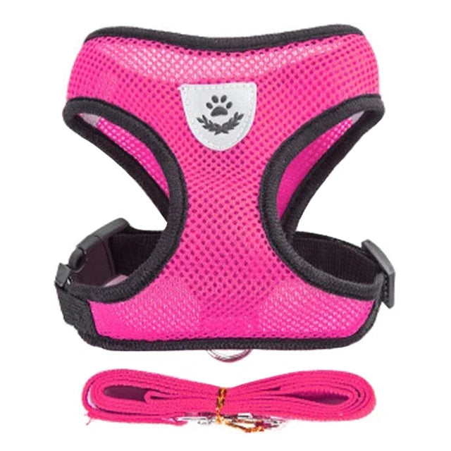 Harnais + laisse en maille respirante – Petit chien & chat – photo produit 11