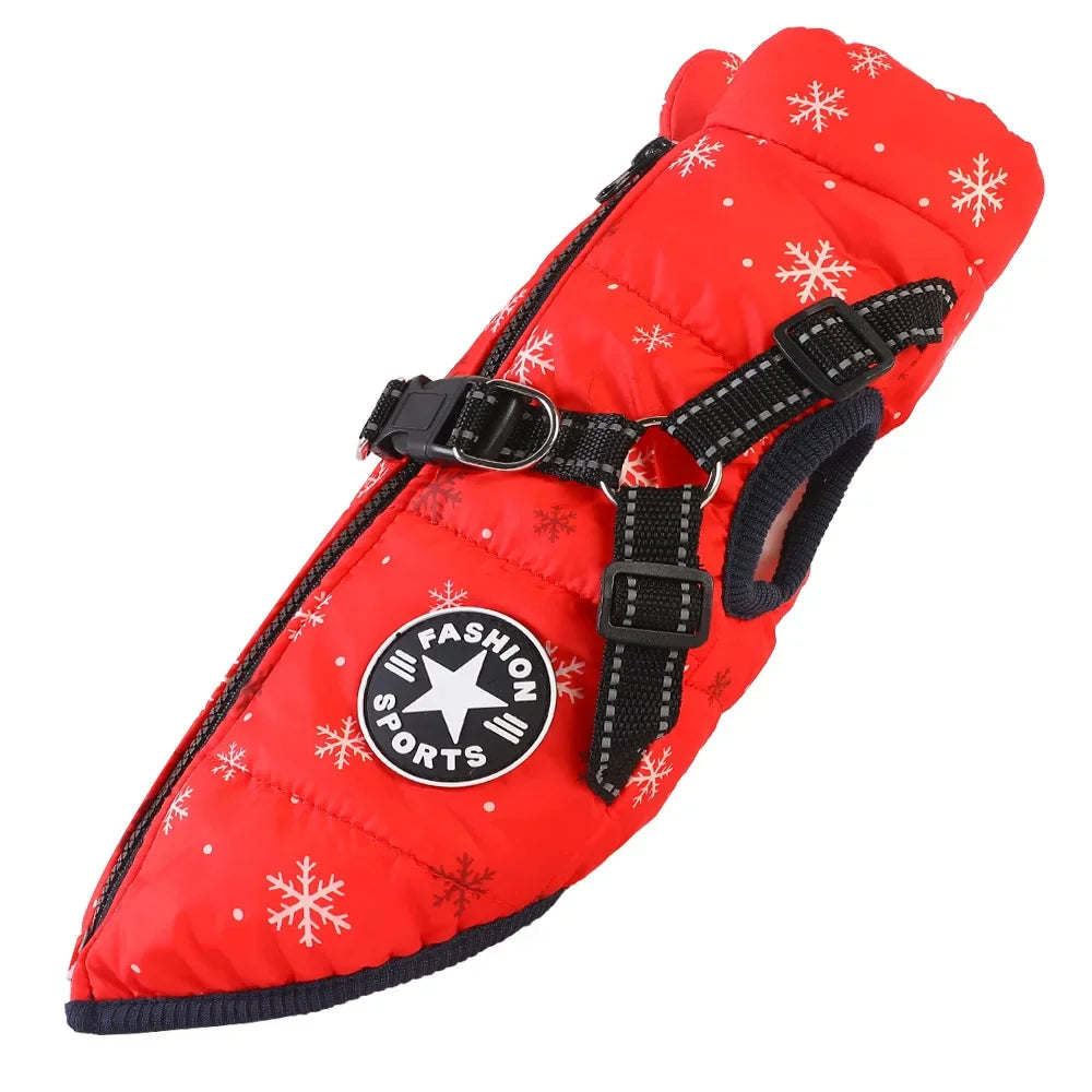 Manteau pour chiens chauds et imperméable. Design "Fashion sport"