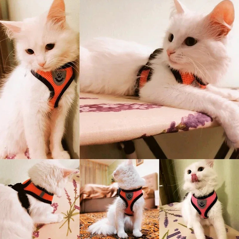Harnais + laisse en maille respirante – Petit chien & chat – photo produit 2