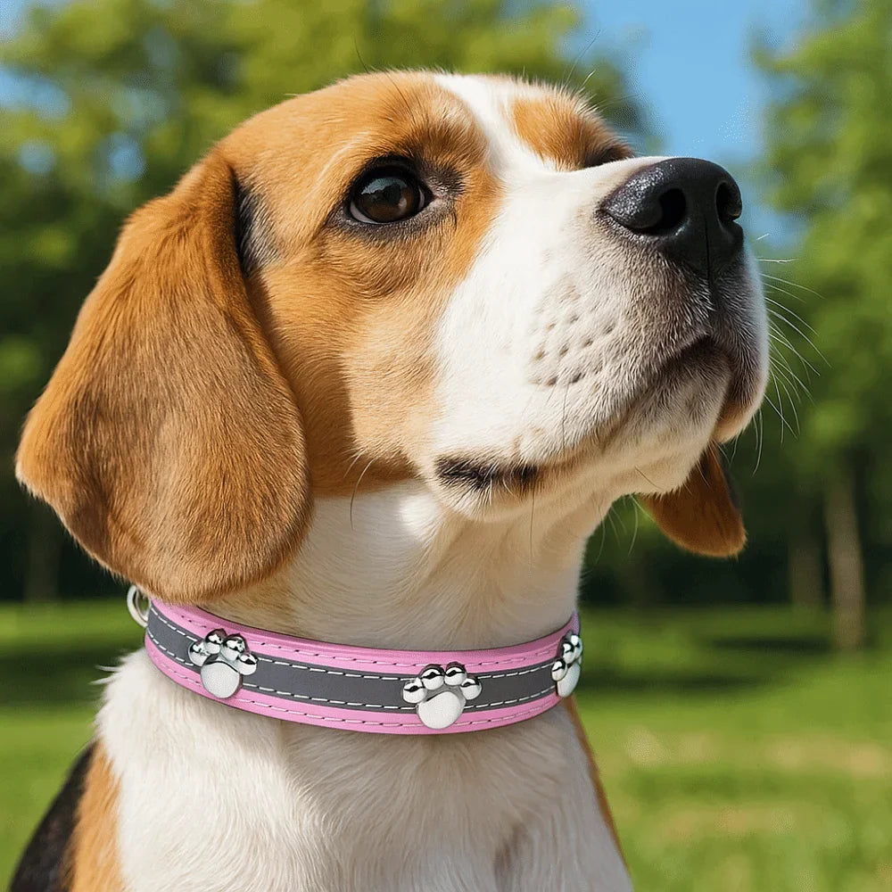 Collier réfléchissant en cuir – Rivets patte – photo produit 2