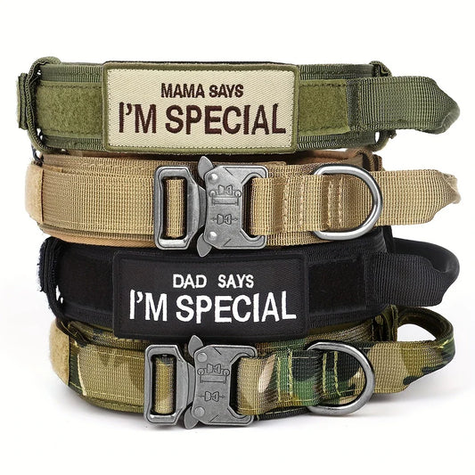 Collier tactique avec poignée – Patch personnalisable – vue principale