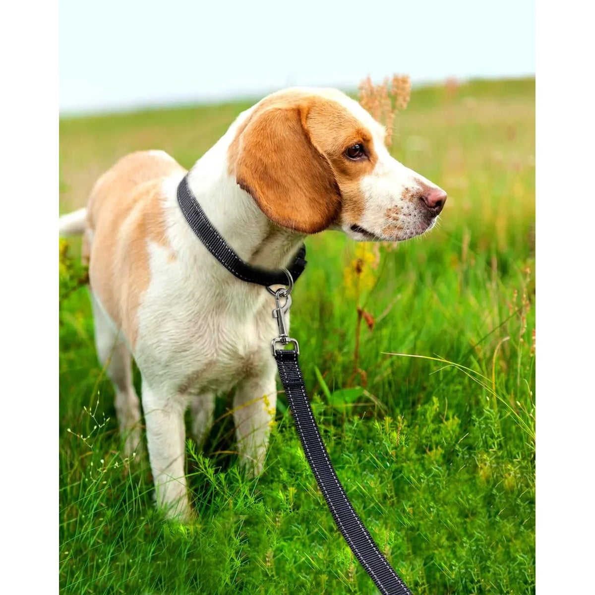 Laisse réfléchissante pour chien – Poignée rembourrée – photo produit 6