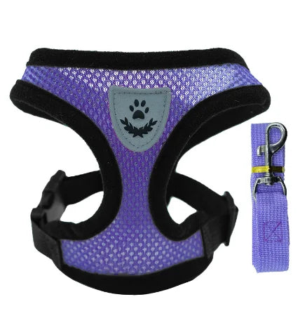 Harnais + laisse en maille respirante – Petit chien & chat – photo produit 10