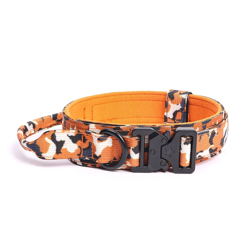 Collier + laisse d’entraînement – Chien moyen & grand – photo produit 15