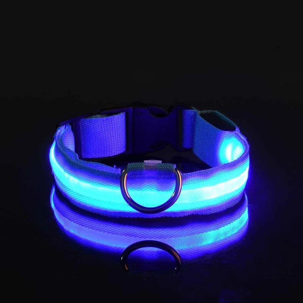 Collier LED clignotant – Sécurité nocturne – photo produit 12