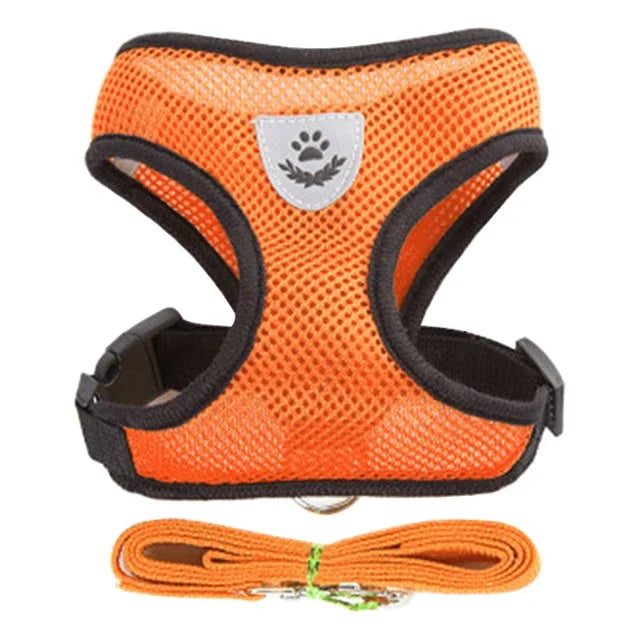 Harnais + laisse en maille respirante – Petit chien & chat – photo produit 7