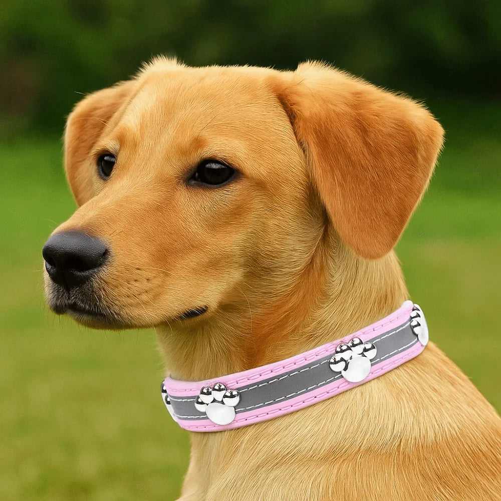 Collier réfléchissant en cuir – Rivets patte – photo produit 4