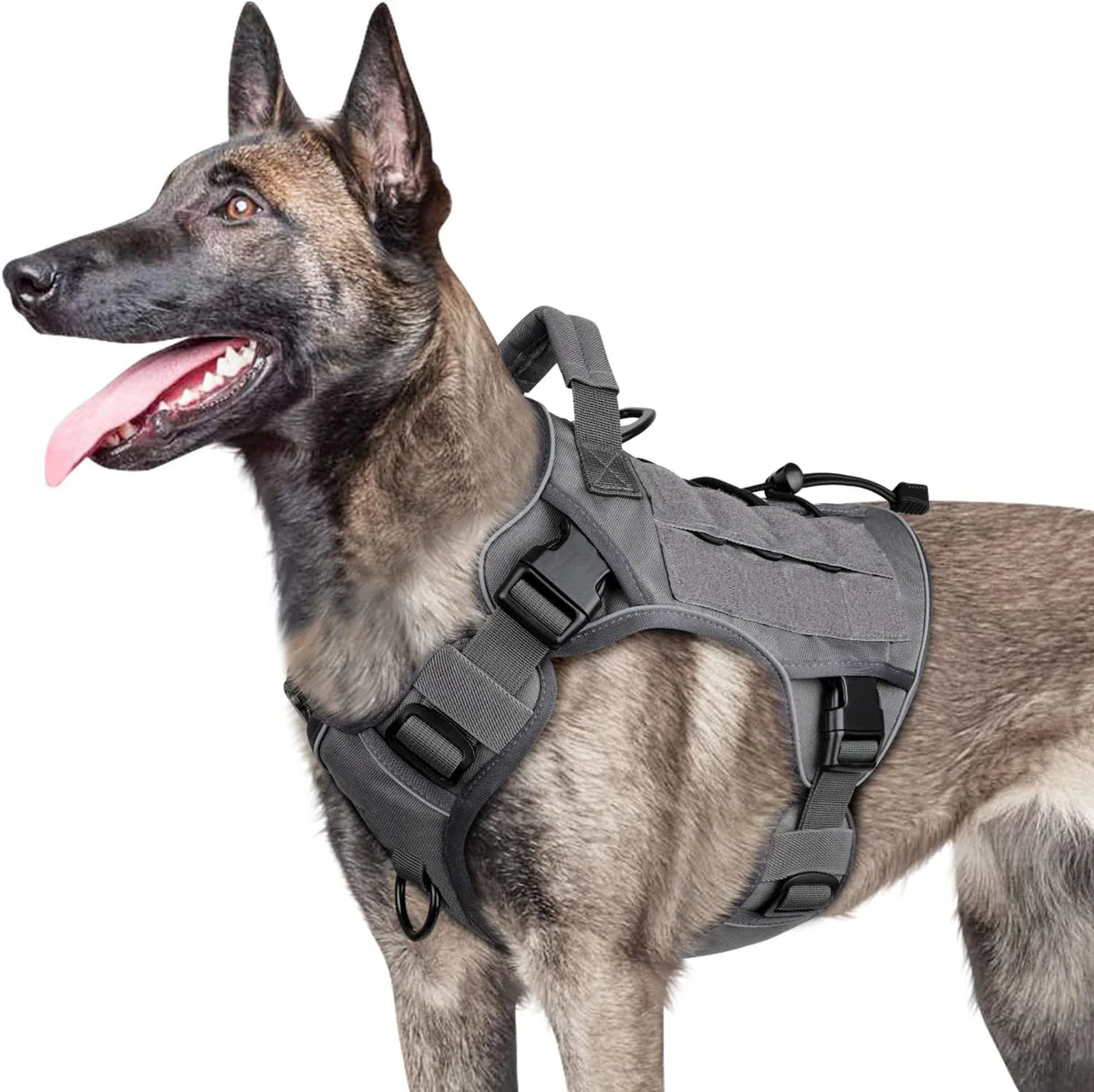 Harnais tactique réfléchissant – Anti-traction avec poignée – photo produit 9