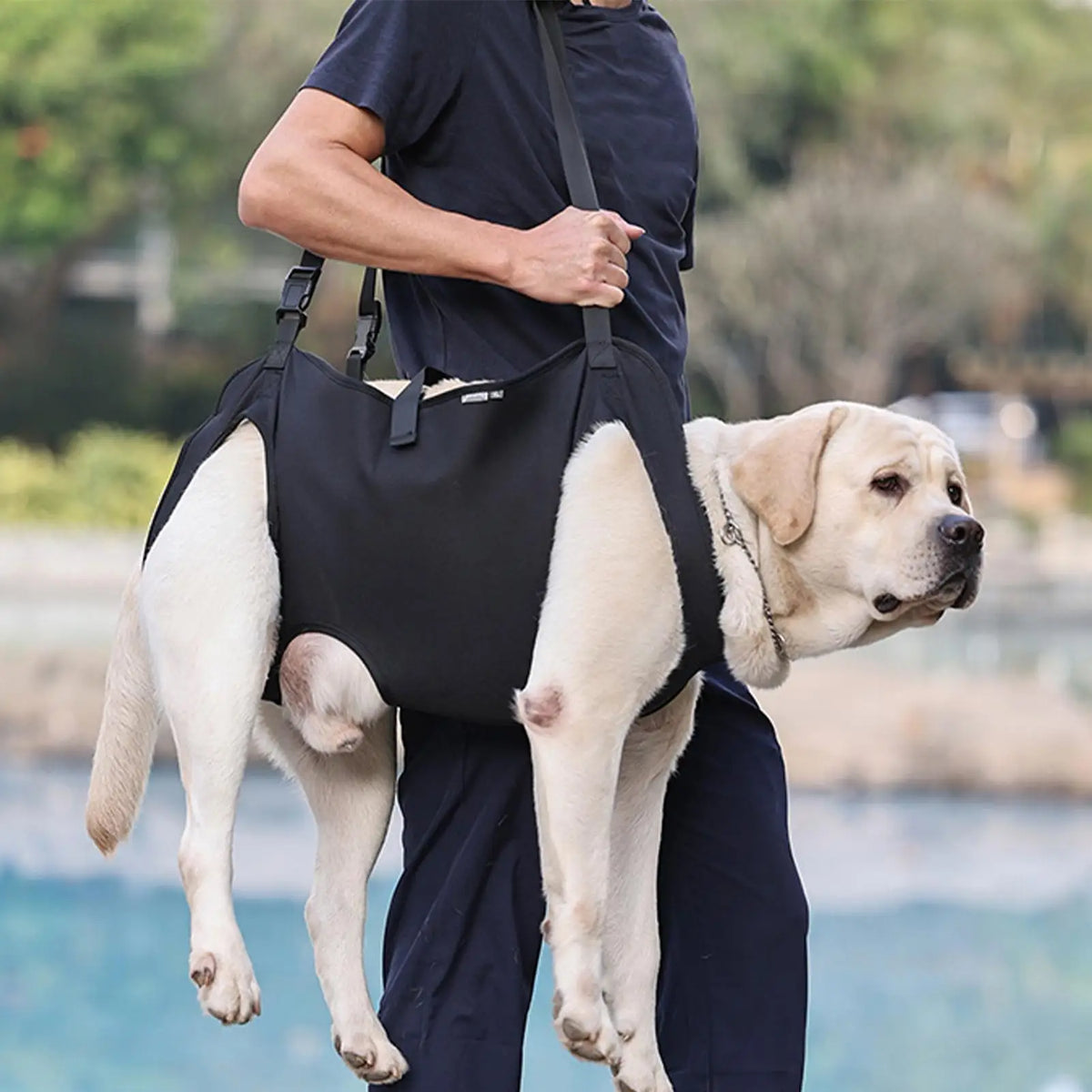 Harnais de soutien pour chien – Transport & rééducation – photo produit 3