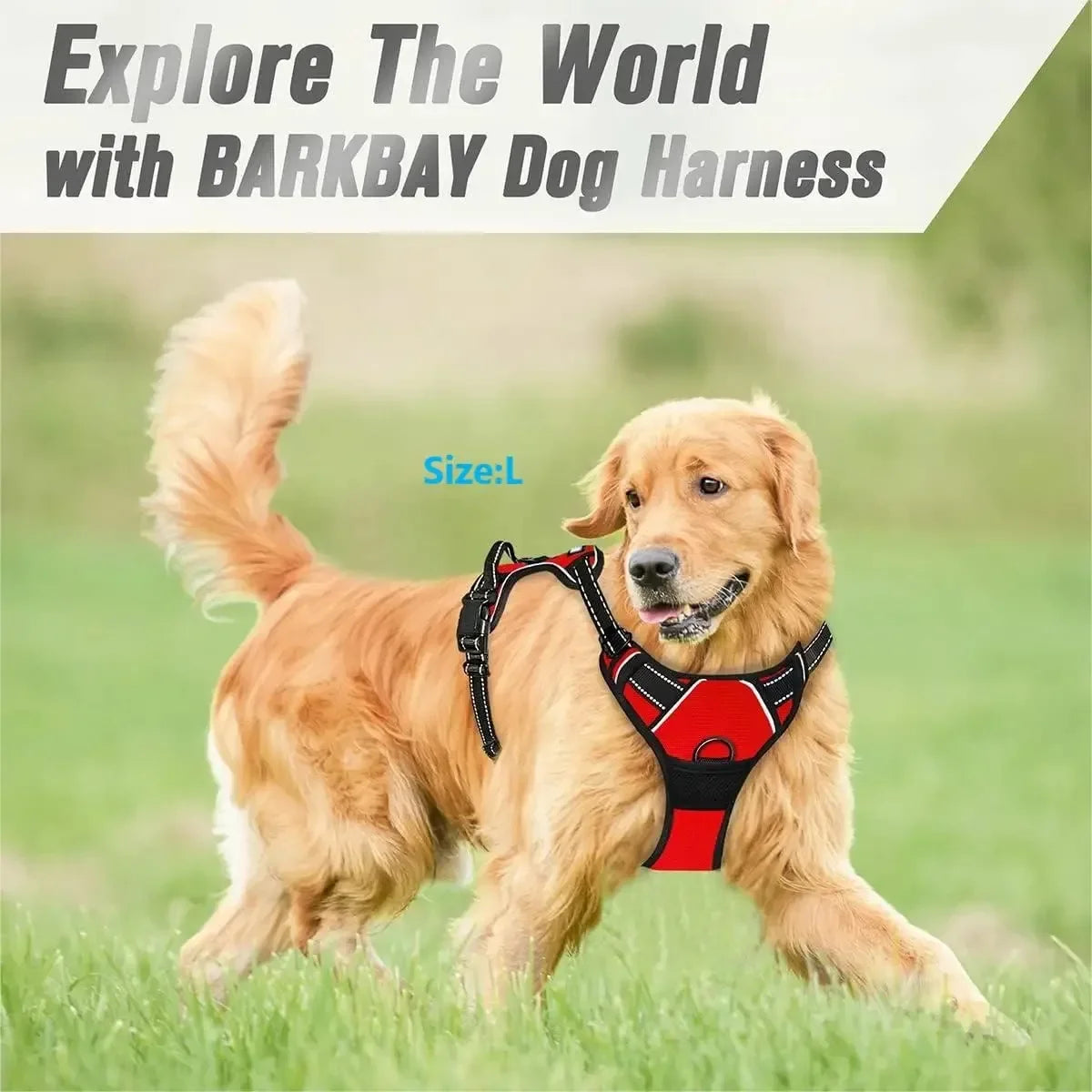 Harnais réglable pour chien – Tailles S à XL – photo produit 3