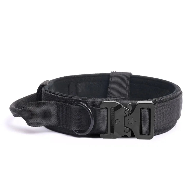 Collier + laisse d’entraînement – Chien moyen & grand – photo produit 9