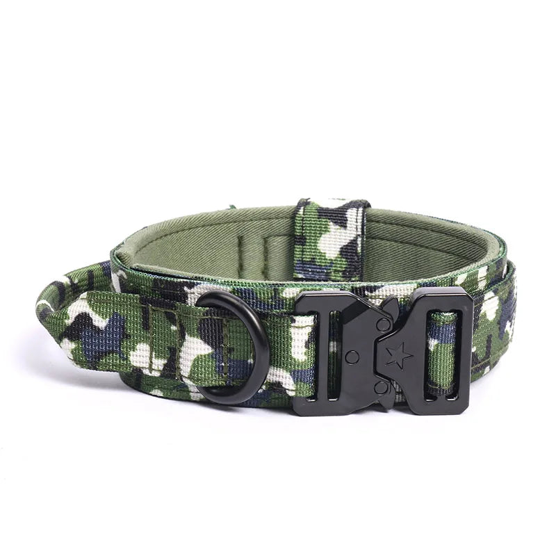 Collier + laisse d’entraînement – Chien moyen & grand – photo produit 14