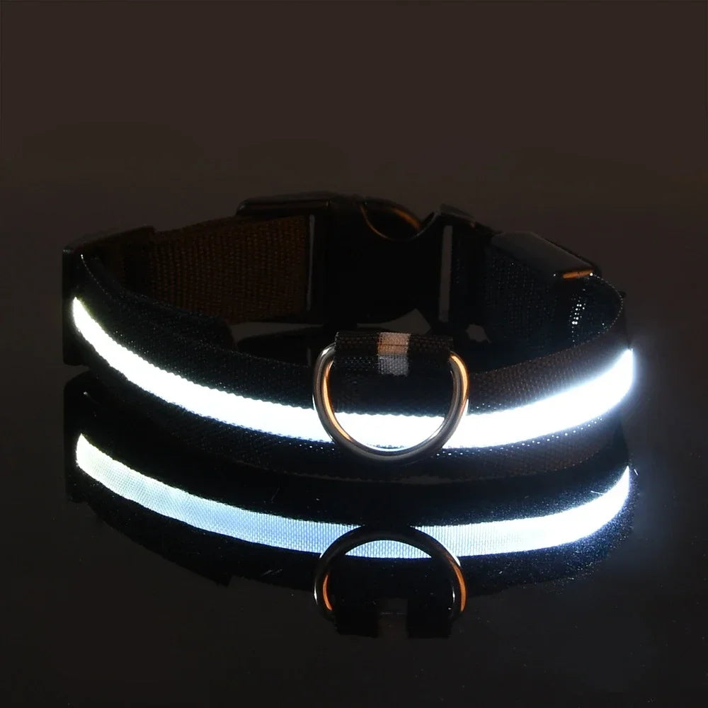 Collier LED clignotant – Sécurité nocturne – photo produit 8