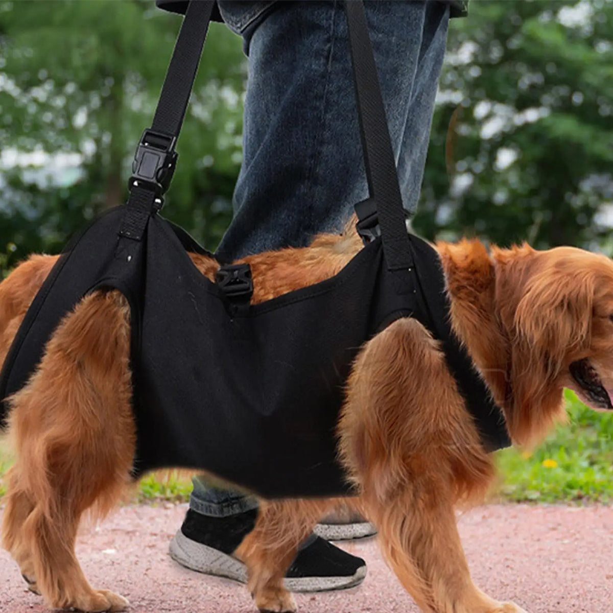 Harnais de soutien pour chien – Transport & rééducation – photo produit 4