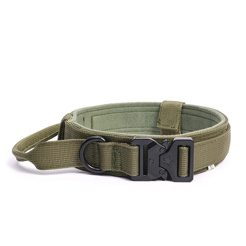 Collier + laisse d’entraînement – Chien moyen & grand – photo produit 13