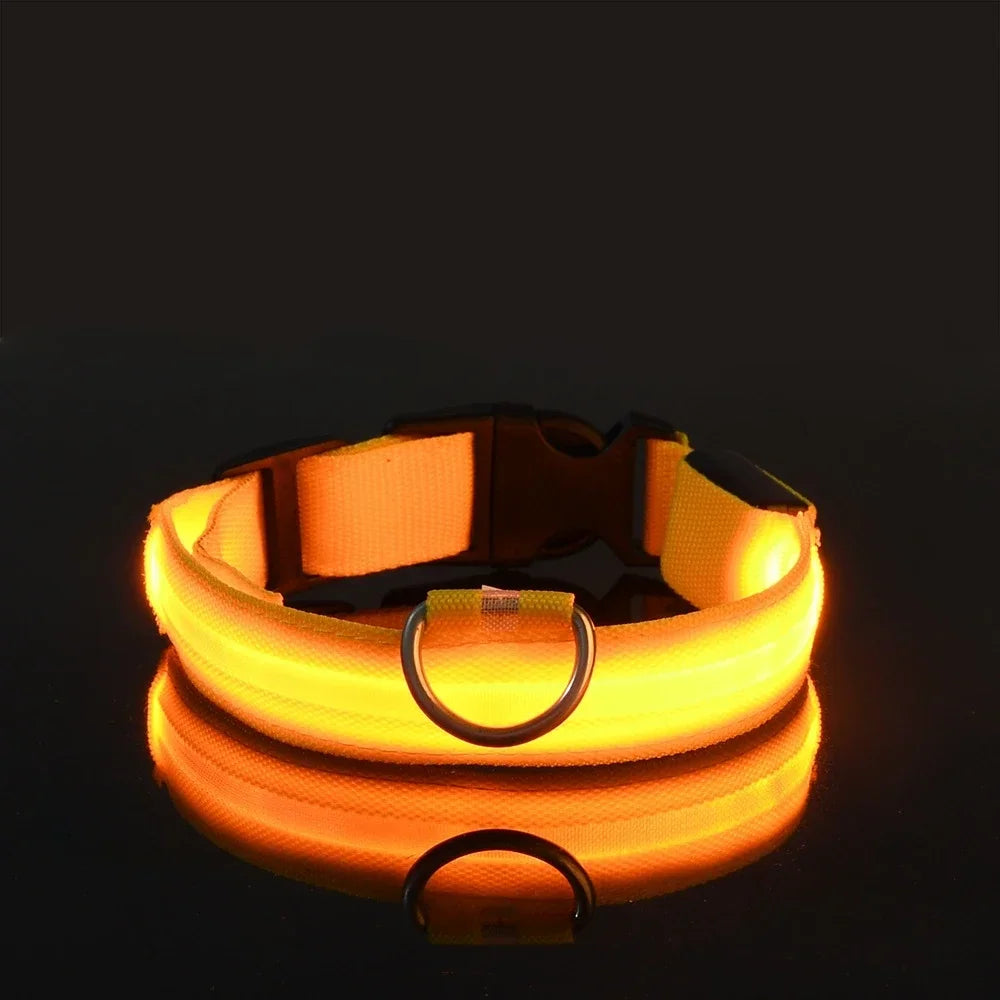 Collier LED clignotant – Sécurité nocturne – photo produit 10