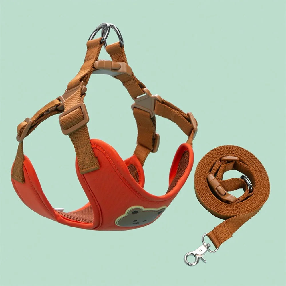 Harnais ourson + laisse assortie – Tailles S à XL – photo produit 2