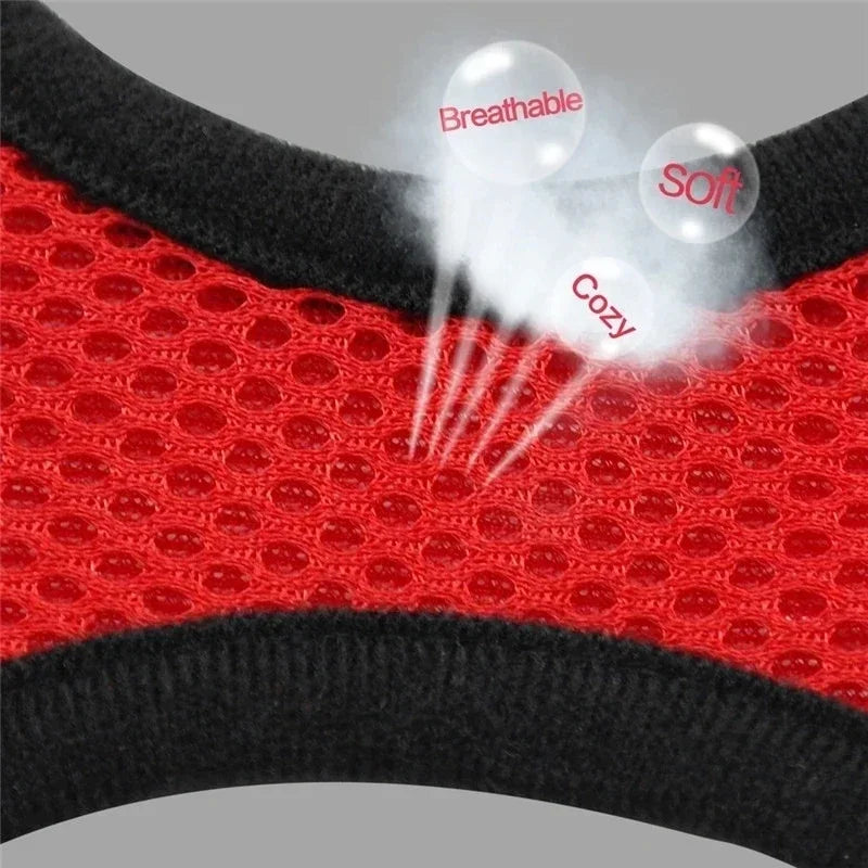 Harnais + laisse en maille respirante – Petit chien & chat – photo produit 4