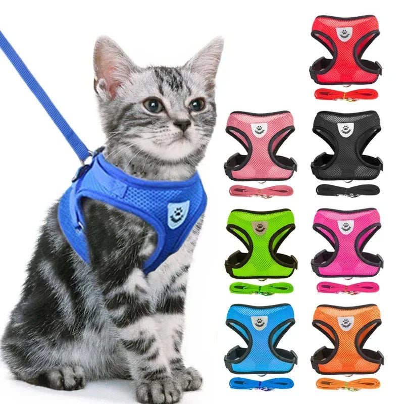 Harnais + laisse en maille respirante – Petit chien & chat – vue principale