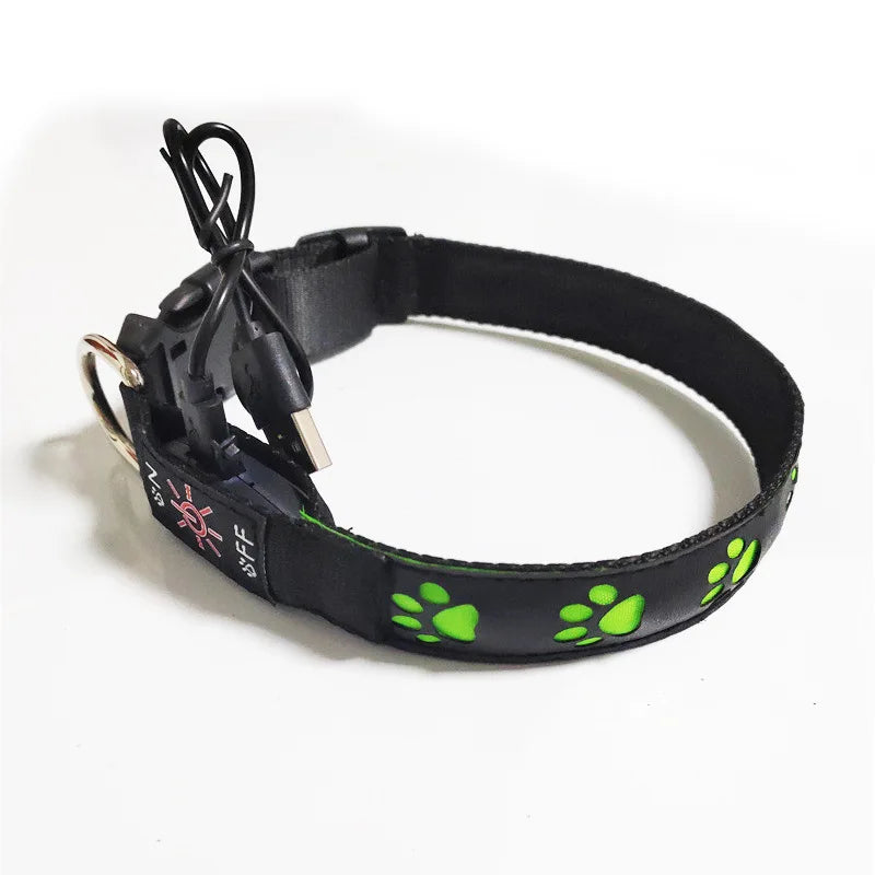 Collier lumineux motif patte – Promenade nocturne – photo produit 5