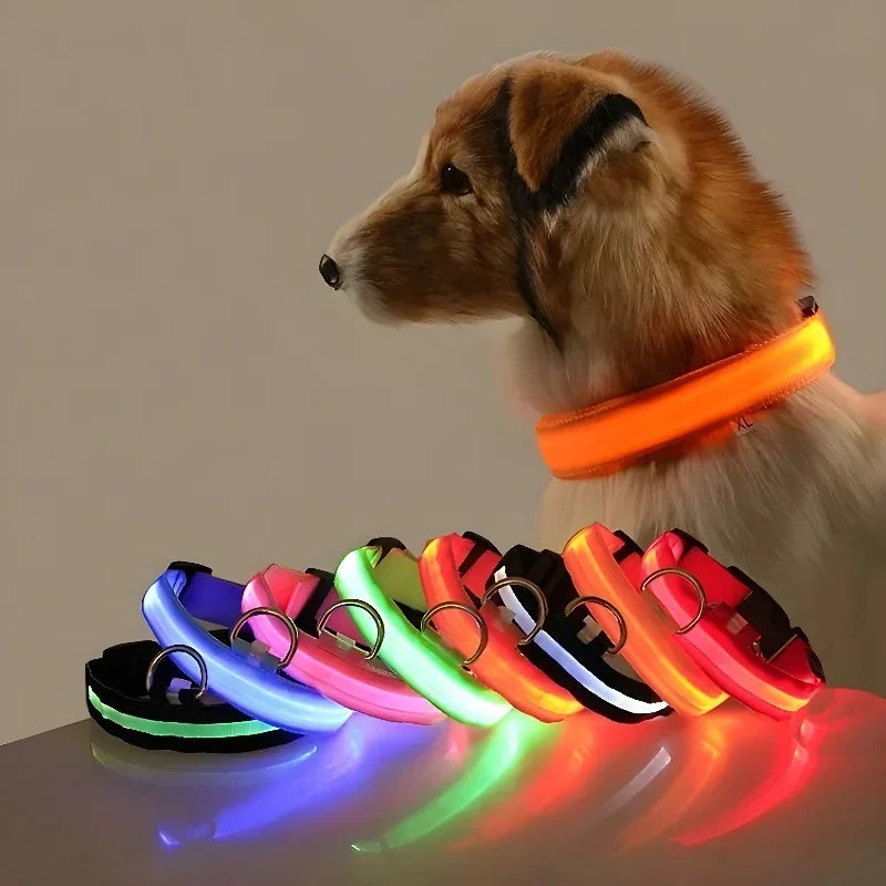 Collier LED clignotant – Sécurité nocturne – vue principale