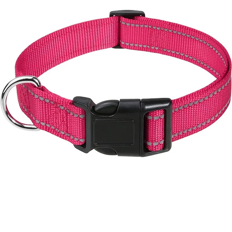 Collier nylon robuste – Petit chien & chiot – photo produit 7