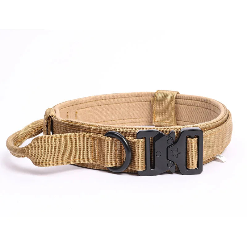 Collier + laisse d’entraînement – Chien moyen & grand – photo produit 10