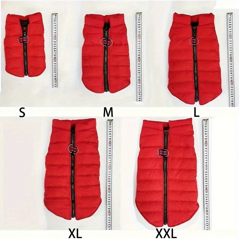 Manteau coupe vent pour petits chiens.